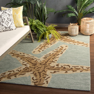 Jaipur Living Grant I-O Sea Star GD19 Blue/Brown Area Rug by Design Collaborative