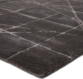 Jaipur Living Genesis Duval GES13 Dark Gray/Silver Area Rug