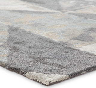 Jaipur Living Genesis Conde GES23 Gray Area Rug