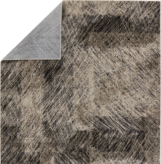 Jaipur Living Graphite Dairon GRA04 Black/Taupe Area Rug Backing Image