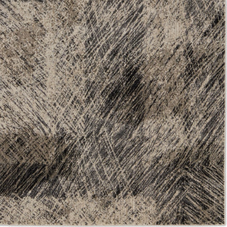 Jaipur Living Graphite Dairon GRA04 Black/Taupe Area Rug Detail Image