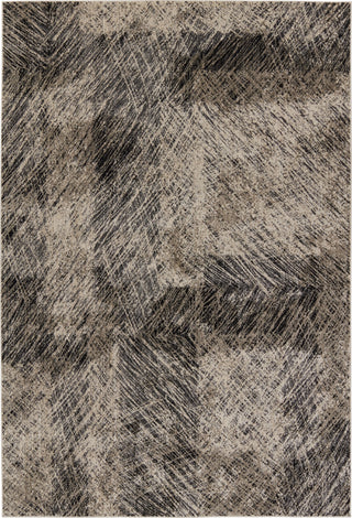 Jaipur Living Graphite Dairon GRA04 Black/Taupe Area Rug Main Image