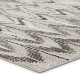 Jaipur Living Greyson Burgess GRY12 Gray Area Rug