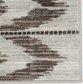 Jaipur Living Greyson Burgess GRY12 Gray Area Rug