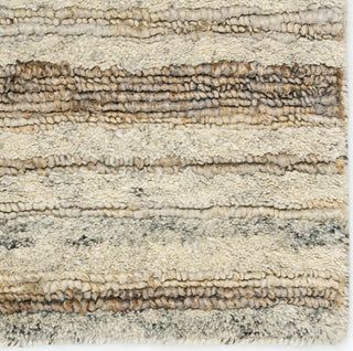 Jaipur Living Hatha Tikka HAT01 Cream/Gray Area Rug Detail Image