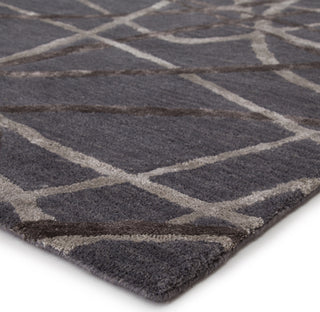 Jaipur Living Hollis Denali HOL03 Gray Area Rug