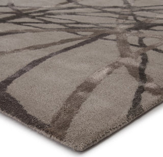 Jaipur Living Hollis Denali HOL10 Gray Area Rug