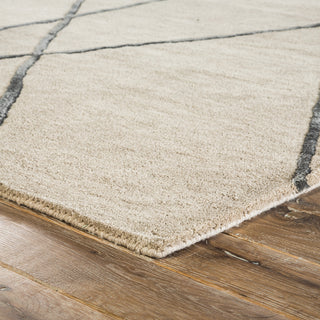 Jaipur Living Hollis Navonna HOL14 Beige Area Rug