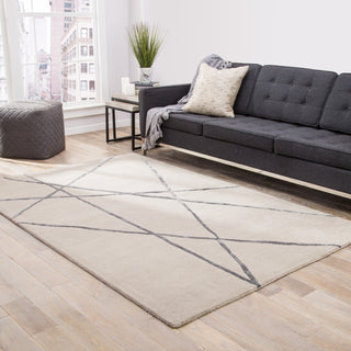 Jaipur Living Hollis Navonna HOL14 Beige Area Rug Lifestyle Image Feature