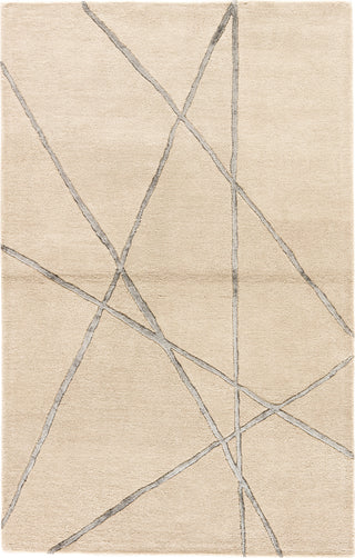 Jaipur Living Hollis Navonna HOL14 Beige Area Rug