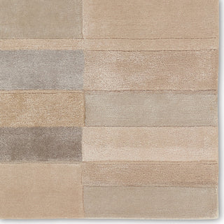 Jaipur Living Iconic Berkay ICO08 Tan/Gray Area Rug Detail Image