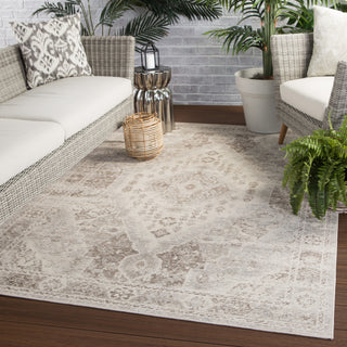 Jaipur Living Indie Farra IDE05 Tan/Gray Area Rug