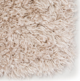 Jaipur Living Intermix Hawn INT04 Beige Area Rug