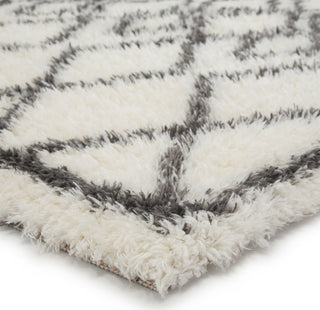 Jaipur Living Intermix Maltese INT07 Ivory/Dark Gray Area Rug