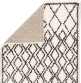 Jaipur Living Intermix Maltese INT07 Ivory/Dark Gray Area Rug