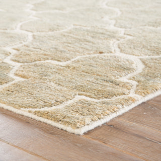 Jaipur Living Ithaca ITH04 Tan Area Rug