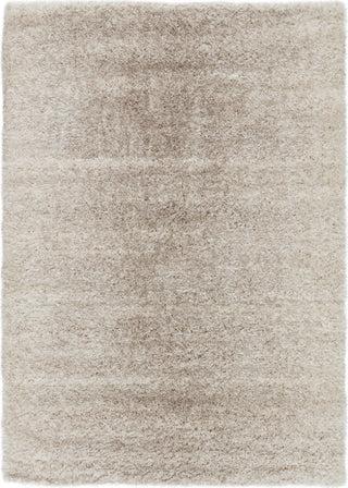 Jaipur Living Izara Iryna IZA01 Cream/Gray Area Rug - Top Down