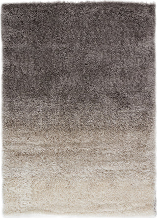 Jaipur Living Izara Jola IZA05 Gray/Cream Area Rug - Top Down