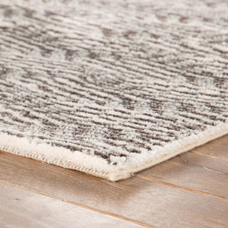 Jaipur Living Jada Berlin JAD01 Gray/White Area Rug