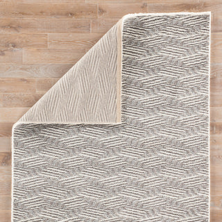 Jaipur Living Jada Berlin JAD01 Gray/White Area Rug