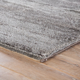 Jaipur Living Jada Discovery JAD04 Gray Area Rug