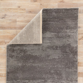 Jaipur Living Jada Discovery JAD04 Gray Area Rug