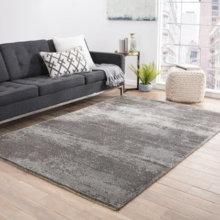 Jaipur Living Jada Discovery JAD04 Gray Area Rug Lifestyle Image Feature