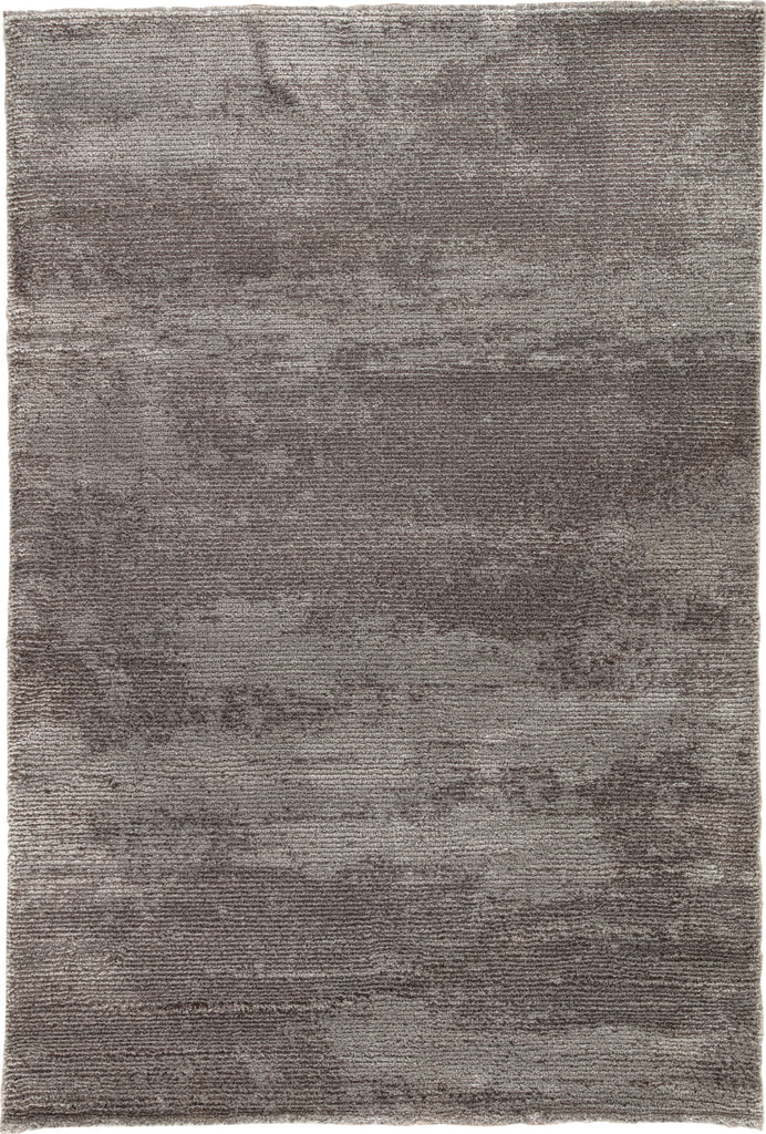 Jaipur Living Jada Discovery JAD04 Gray Area Rug