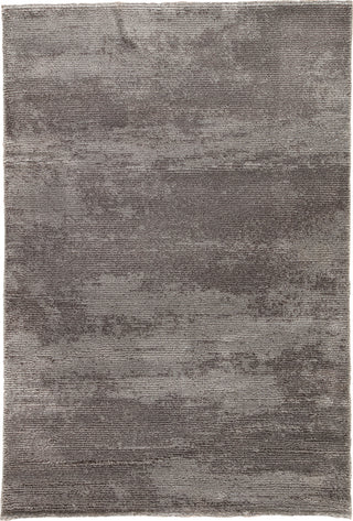 Jaipur Living Jada Discovery JAD04 Gray Area Rug