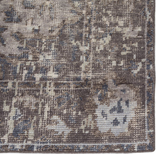 Jaipur Living Kai Alessia KAI01 Gray Area Rug