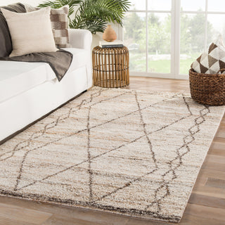 Jaipur Living Kasbah Murano KAS02 Tan/Brown Area Rug Lifestyle Image Feature