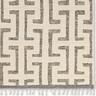 Jaipur Living Keoka Semra KEO09 Cream/Gray Area Rug Detail Image