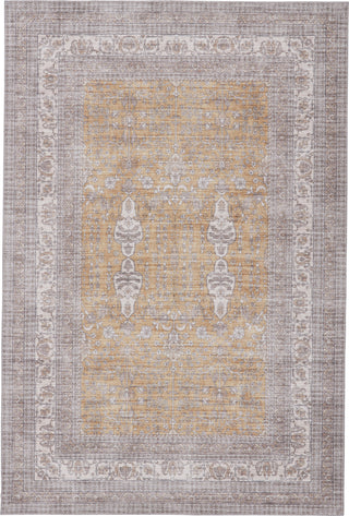 Jaipur Living Kalesi Calla KLS01 Gray/Gold Area Rug Main Image