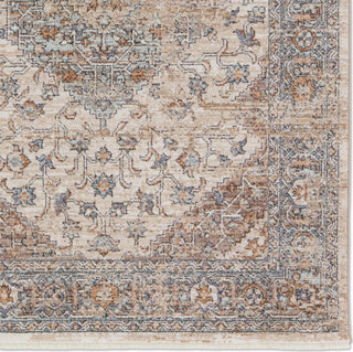 Jaipur Living Lark Heir LAR01 Beige/Blue Area Rug Detail Image