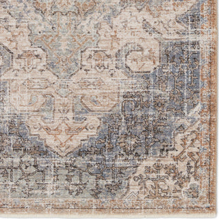 Jaipur Living Lark Lynette LAR03 Tan/Blue Area Rug Detail Image