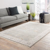Jaipur Living Liberty Reagan LIB02 Gray/Beige Area Rug Lifestyle Image Feature