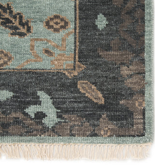 Jaipur Living Liberty Savona LIB09 Green/Dark Gray Area Rug