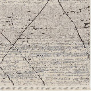 Jaipur Living Lore Imani LRE01 Gray/White Area Rug Detail Image