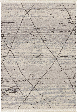 Jaipur Living Lore Imani LRE01 Gray/White Area Rug main image