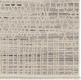 Jaipur Living Lore Caiya LRE02 Cream/Gray Area Rug Detail Image