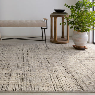 Jaipur Living Lore Caiya LRE02 Cream/Gray Area Rug Lifestyle Image