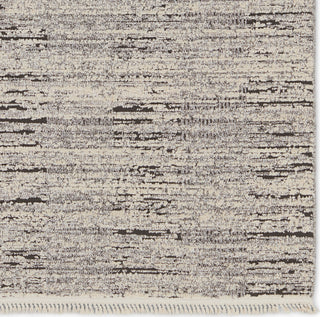 Jaipur Living Lore Duna LRE04 Gray/Cream Area Rug Detail Image