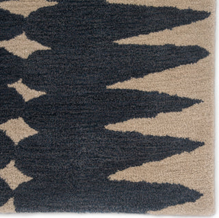 Jaipur Living En Casa Tear Drops LST27 Gray/Beige Area Rug by Luli Sanchez - Close Up