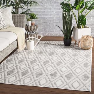 Jaipur Living Lumen Meira LUM01 Gray/White Area Rug Lifestyle Image Feature