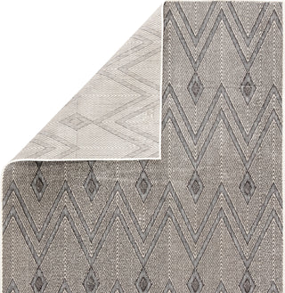 Jaipur Living Lumen Luz LUM03 Gray Area Rug