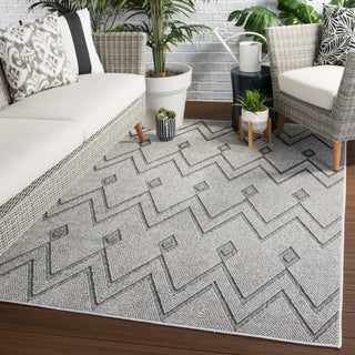 Jaipur Living Lumen Luz LUM03 Gray Area Rug