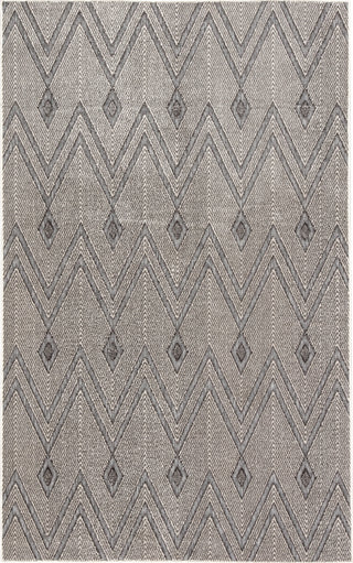 Jaipur Living Lumen Luz LUM03 Gray Area Rug