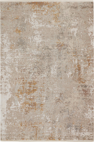 Jaipur Living Lavigne Henson LVG06 Gray/Gold Area Rug Main Image