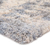Jaipur Living Lyra Cantata LYR01 Gray/Blue Area Rug