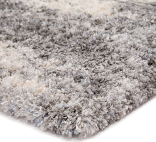 Jaipur Living Lyra Elodie LYR02 Gray/Ivory Area Rug